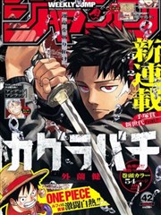 漫画 拾荒者笔记 竖版封面
